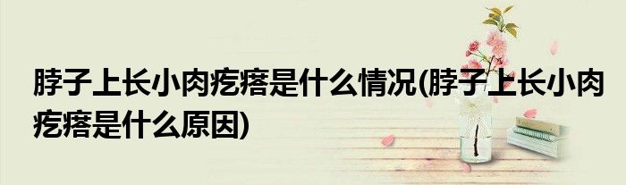 脖子上长小肉疙瘩是什么情况(脖子上长小肉疙瘩是什么原因)