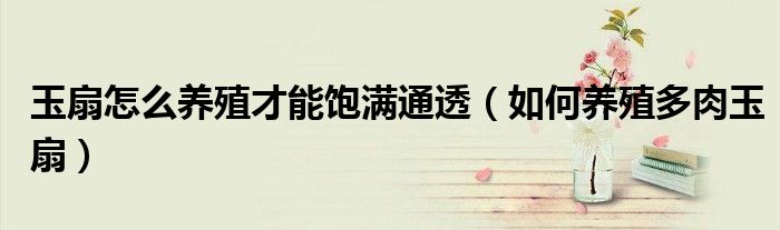 玉扇怎么养殖才能饱满通透(如何养殖多肉玉扇)