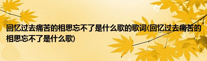 回忆过去痛苦的相思忘不了是什么歌的歌词(回忆过去痛苦的相思忘不了是什么歌)