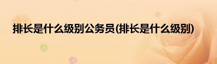 排长是什么级别公务员(排长是什么级别)