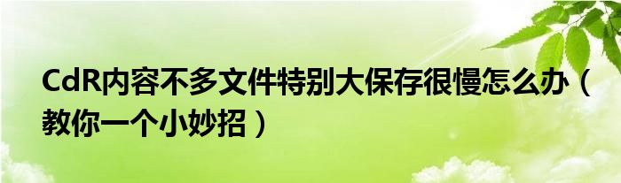 CdR内容不多文件特别大保存很慢怎么办(教你一个小妙招)