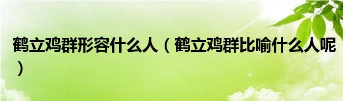 鹤立鸡群形容什么人(鹤立鸡群比喻什么人呢)