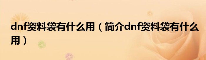 dnf资料袋有什么用(简介dnf资料袋有什么用)