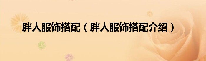 胖人服饰搭配(胖人服饰搭配介绍)
