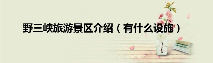野三峡旅游景区介绍(有什么设施)