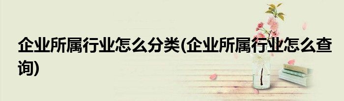 企业所属行业怎么分类(企业所属行业怎么查询)