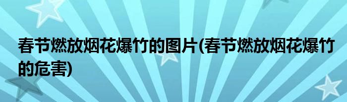 春节燃放烟花爆竹的图片(春节燃放烟花爆竹的危害)
