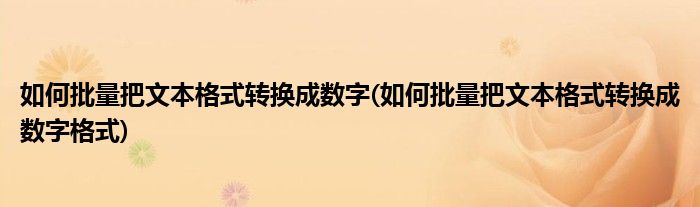 如何批量把文本格式转换成数字(如何批量把文本格式转换成数字格式)