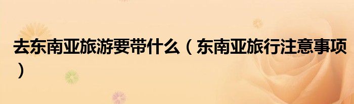 去东南亚旅游要带什么(东南亚旅行注意事项)