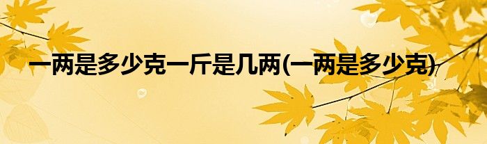 一两是多少克一斤是几两(一两是多少克)