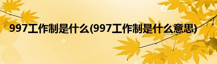 997工作制是什么(997工作制是什么意思)