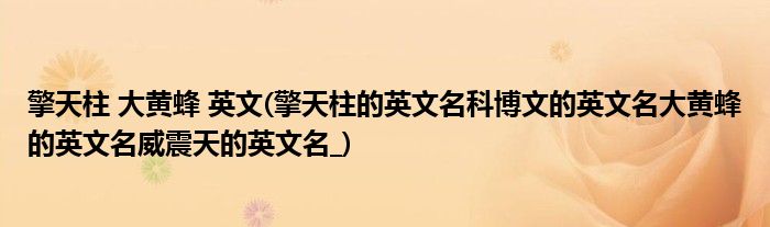 擎天柱 大黄蜂 英文(擎天柱的英文名科博文的英文名大黄蜂的英文名威震天的英文名_)