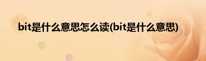 bit是什么意思怎么读(bit是什么意思)