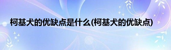 柯基犬的优缺点是什么(柯基犬的优缺点)