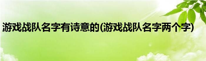 游戏战队名字有诗意的(游戏战队名字两个字)