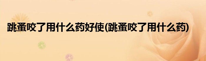 跳蚤咬了用什么药好使(跳蚤咬了用什么药)