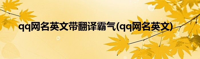 qq网名英文带翻译霸气(qq网名英文)