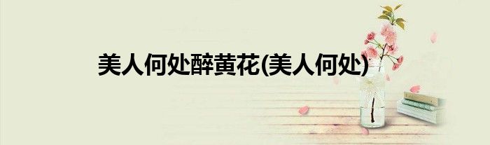 美人何处醉黄花(美人何处)