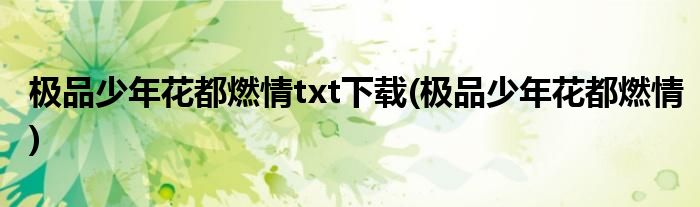 极品少年花都燃情txt下载(极品少年花都燃情)