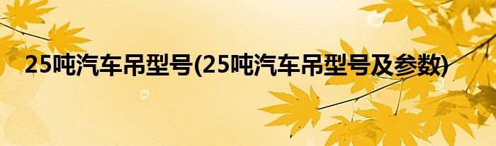 25吨汽车吊型号(25吨汽车吊型号及参数)