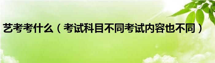 艺考考什么(考试科目不同考试内容也不同)