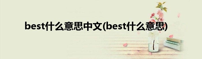 best什么意思中文(best什么意思)
