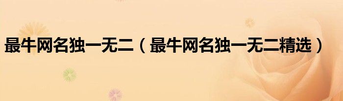 最牛网名独一无二(最牛网名独一无二精选)