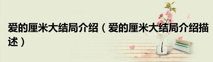爱的厘米大结局介绍(爱的厘米大结局介绍描述)