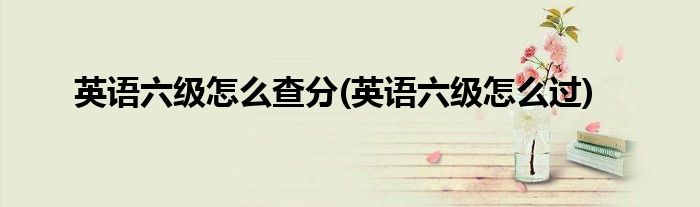 英语六级怎么查分(英语六级怎么过)