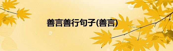 善言善行句子(善言)