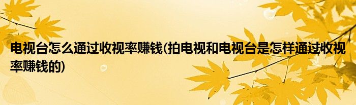 电视台怎么通过收视率赚钱(拍电视和电视台是怎样通过收视率赚钱的)