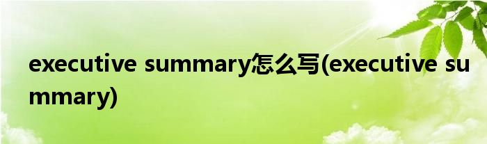 executive summary怎么写(executive summary)