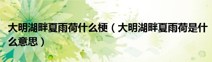 大明湖畔夏雨荷什么梗(大明湖畔夏雨荷是什么意思)