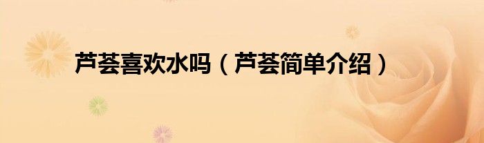 芦荟喜欢水吗(芦荟简单介绍)