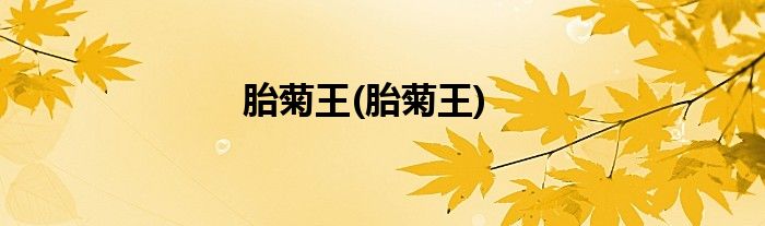 胎菊王(胎菊王)