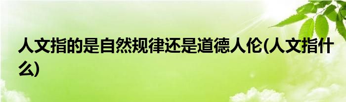 人文指的是自然规律还是道德人伦(人文指什么)