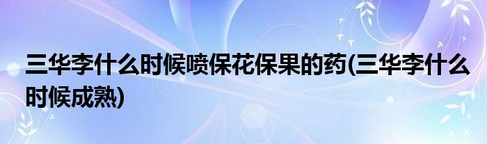 三华李什么时候喷保花保果的药(三华李什么时候成熟)