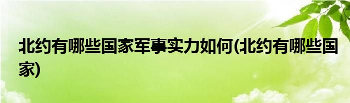 北约有哪些国家军事实力如何(北约有哪些国家)