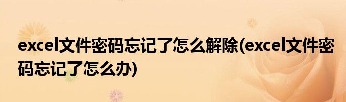 excel文件密码忘记了怎么解除(excel文件密码忘记了怎么办)