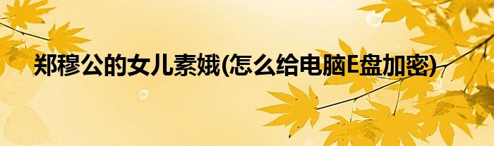 郑穆公的女儿素娥(怎么给电脑E盘加密)