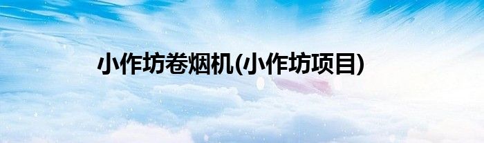 小作坊卷烟机(小作坊项目)