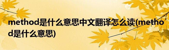 method是什么意思中文翻译怎么读(method是什么意思)