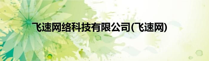 飞速网络科技有限公司(飞速网)