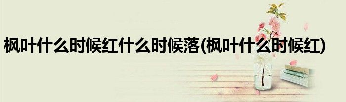 枫叶什么时候红什么时候落(枫叶什么时候红)
