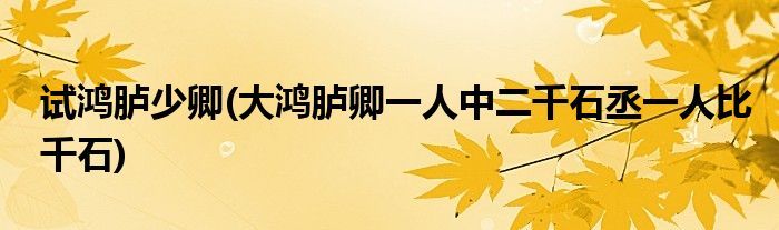 试鸿胪少卿(大鸿胪卿一人中二千石丞一人比千石)