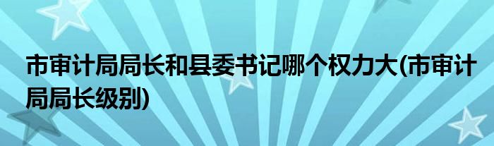 市审计局局长和县委书记哪个权力大(市审计局局长级别)