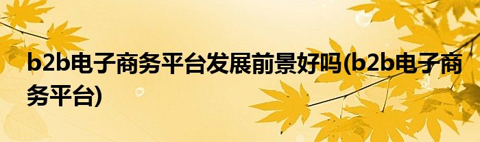 b2b电子商务平台发展前景好吗(b2b电子商务平台)