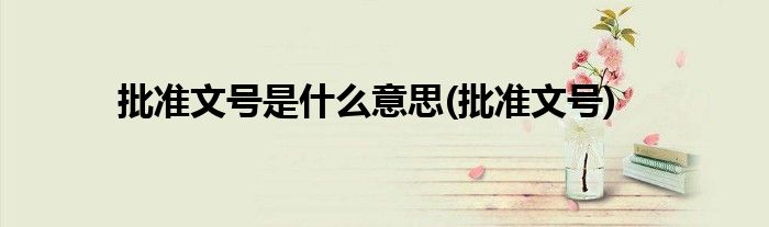 批准文号是什么意思(批准文号)