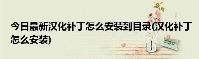 今日最新汉化补丁怎么安装到目录(汉化补丁怎么安装)