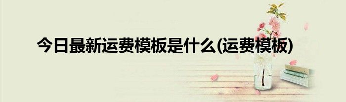 今日最新运费模板是什么(运费模板)
